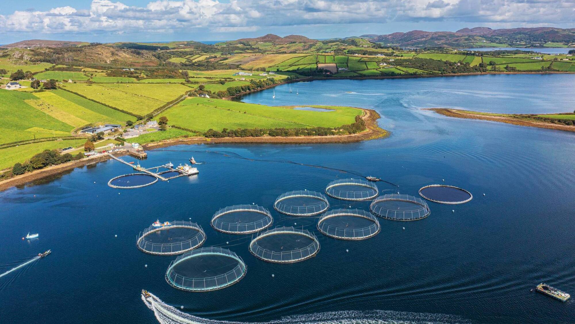 Irish Examiner view: Conservation plans will not be fulfilled without money