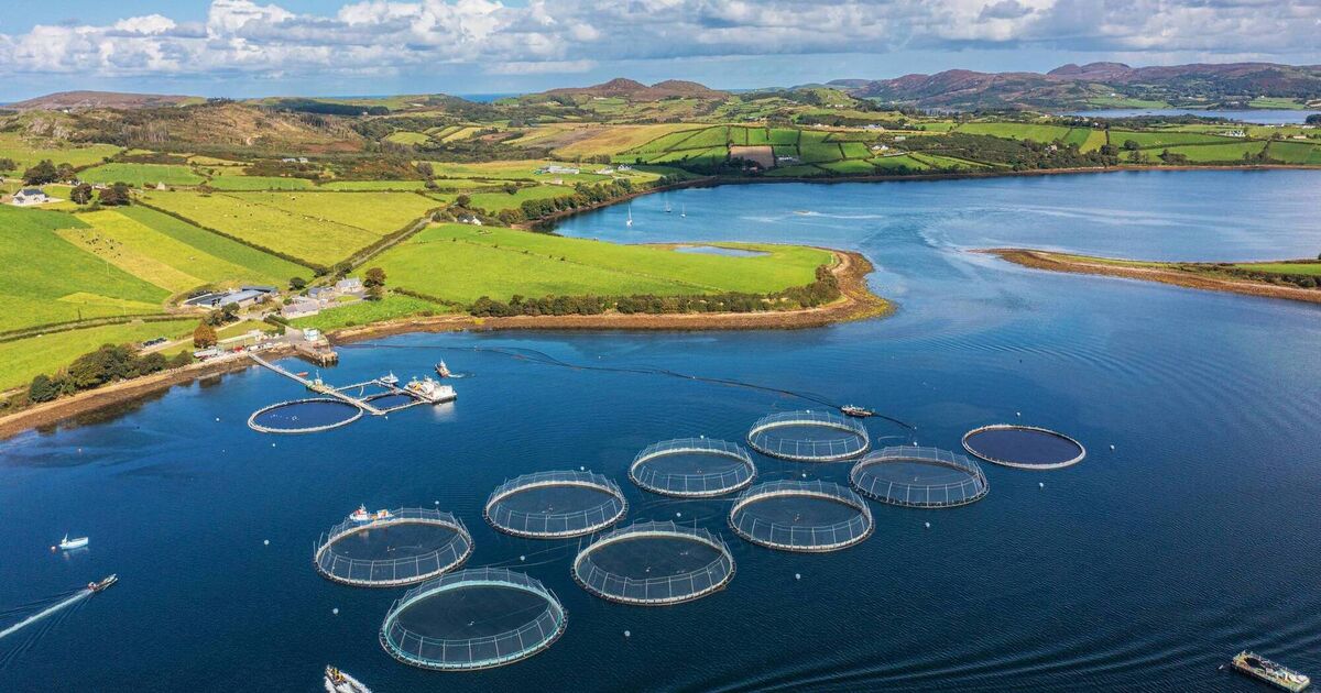 Irish Examiner view: Conservation plans will not be fulfilled without money