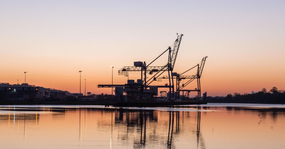 Irish exports to the US drop by over half in another month of global trade volatility 