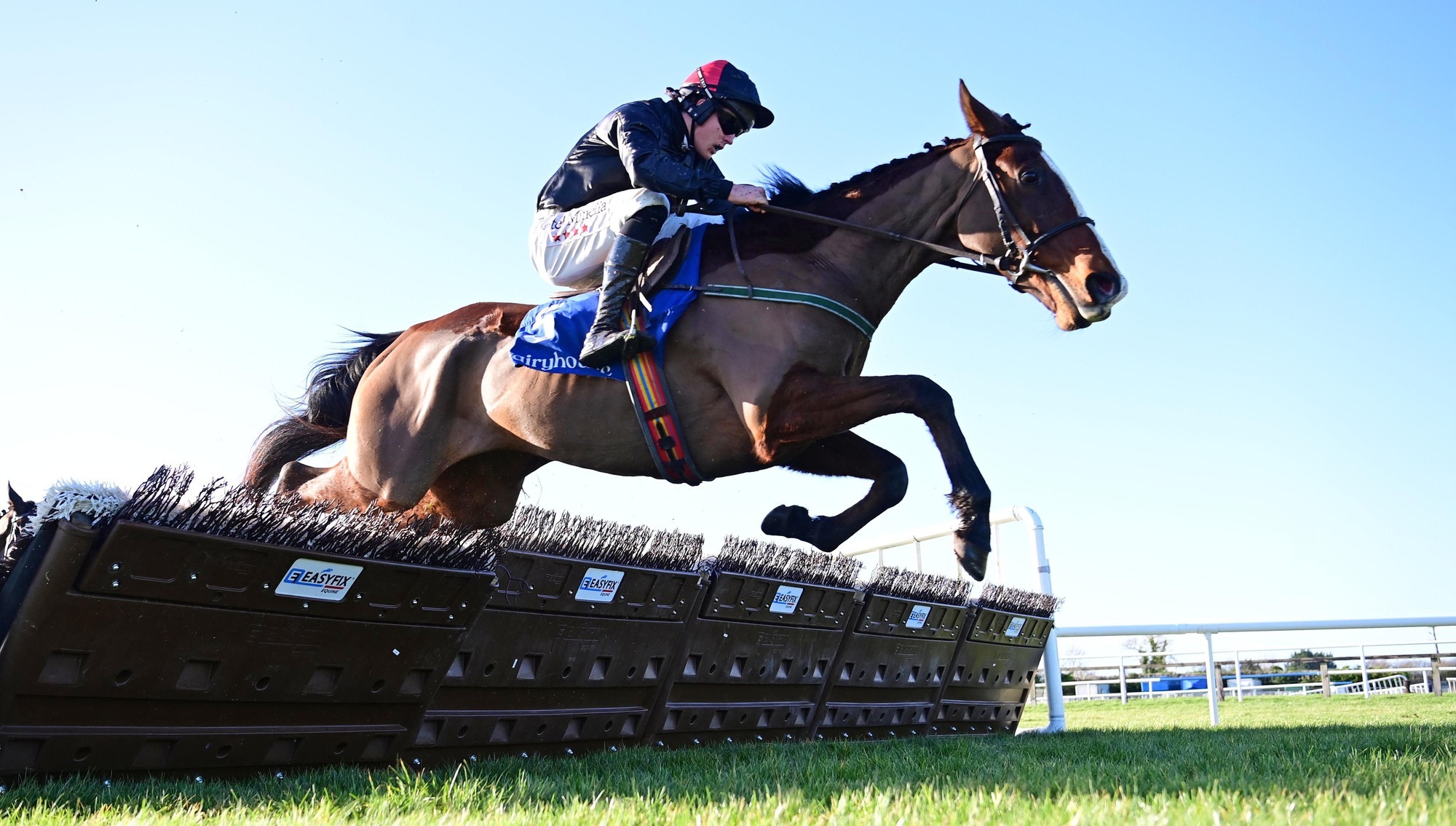 Joy for Molloy as Welluknow bounces back to form