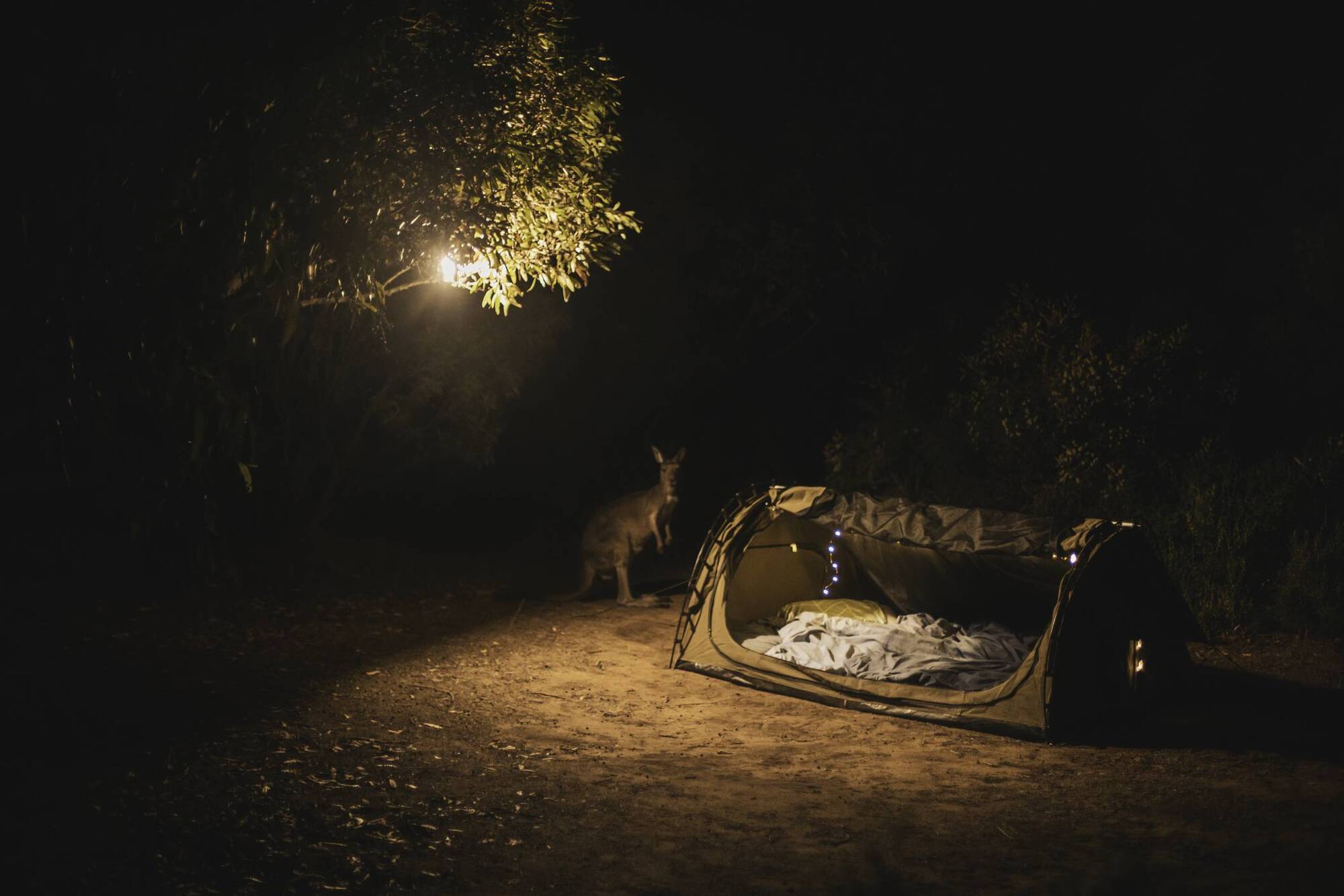 Suzanne Harrington: Contending with real and prank terrors at wilderness camping
