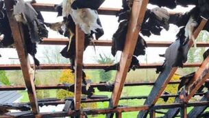 <p>When the fire broke out, Limerick Fire and Rescue Service rushed to the scene with three appliances from the city and one from Cappamore. </p>