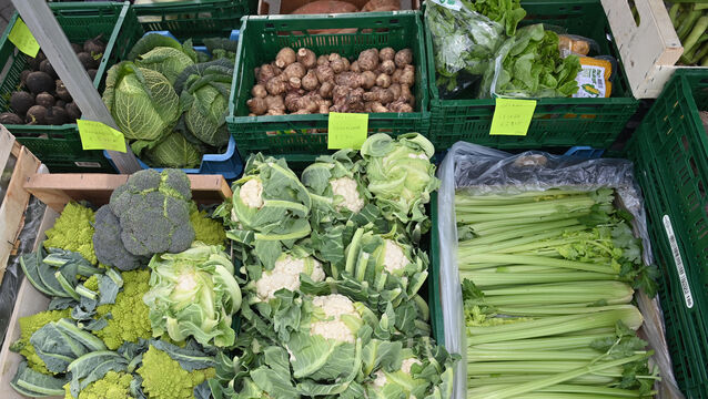 <p>There’s a wide range of vegetables available right now, with rhubarb on the horizon too. According to Bord Bia there’s kale, celeriac, beetroot, mushrooms, parsnip, lettuce, leeks, cauliflower, carrot, cabbage and brussels sprouts. File picture: Dan Linehan</p>