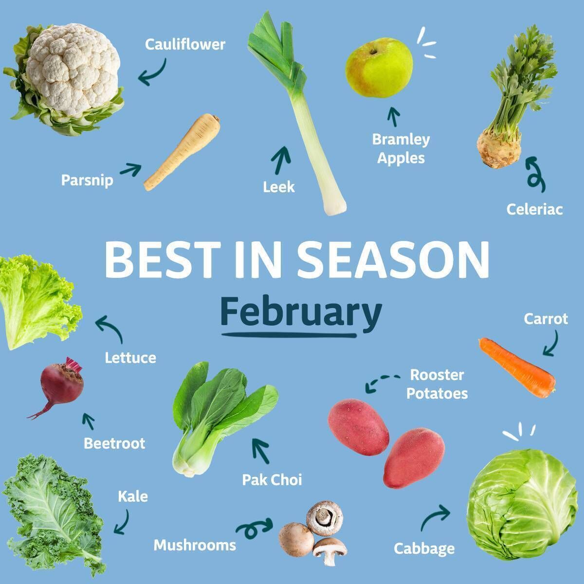 Best in Season for February. Image: Bord Bia Best in Season for February. Image: Bord Bia