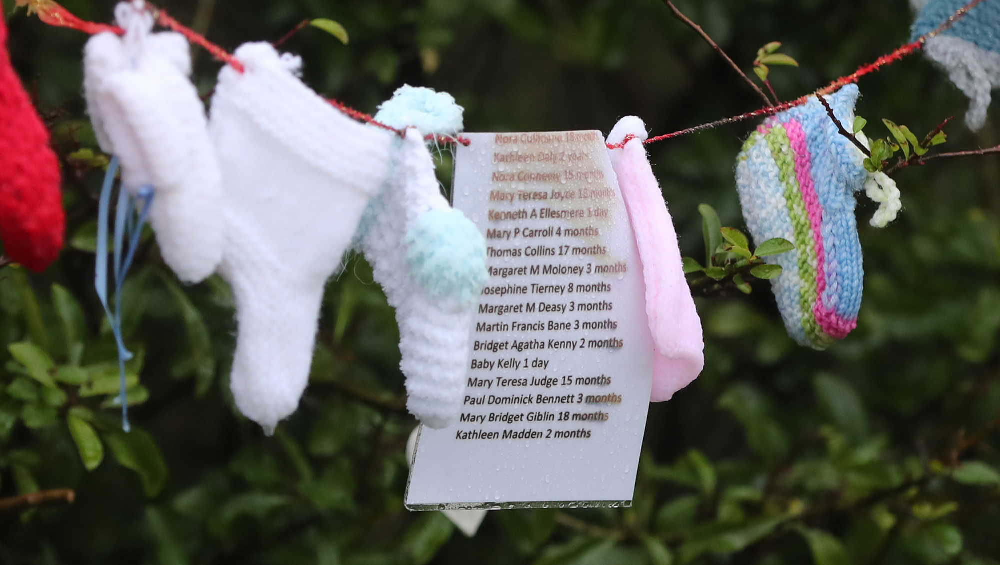 Tuam family group invite president to meet with them given her 'personal connection' to babies who died