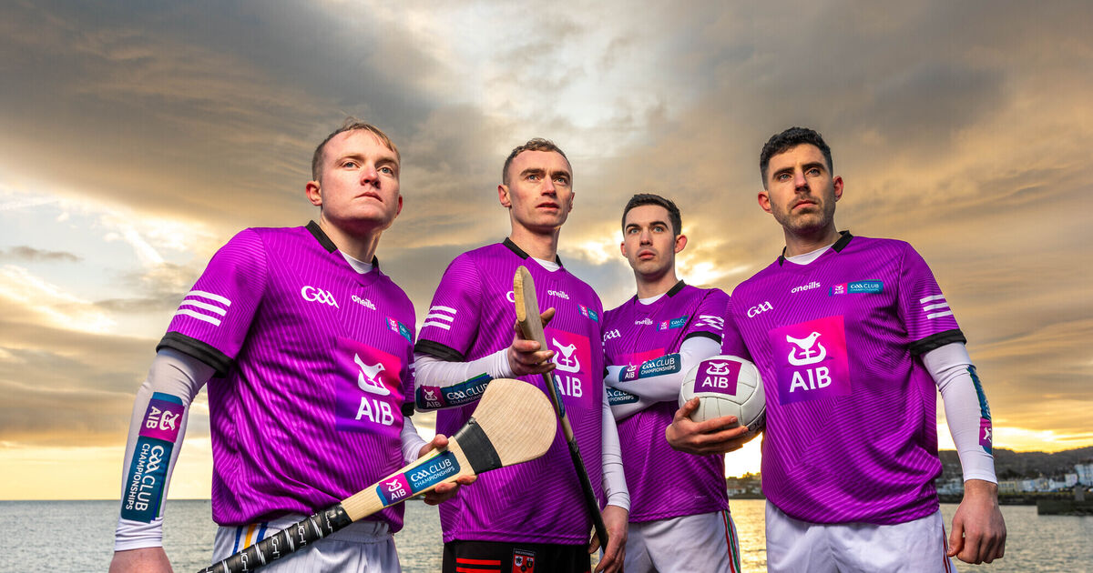 Sportsguide: All-Ireland senior club finals, final pool games in Champions and Challenge Cup and Basketball finals