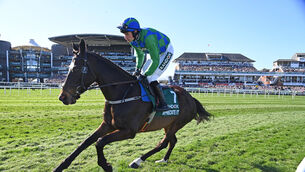 <p>Appreciate It will be expected to repeat last year’s win in the Grade 2 Horse &amp; Jockey Hotel Chase in Thurles tomorrow. Picture: Healy Racing</p>