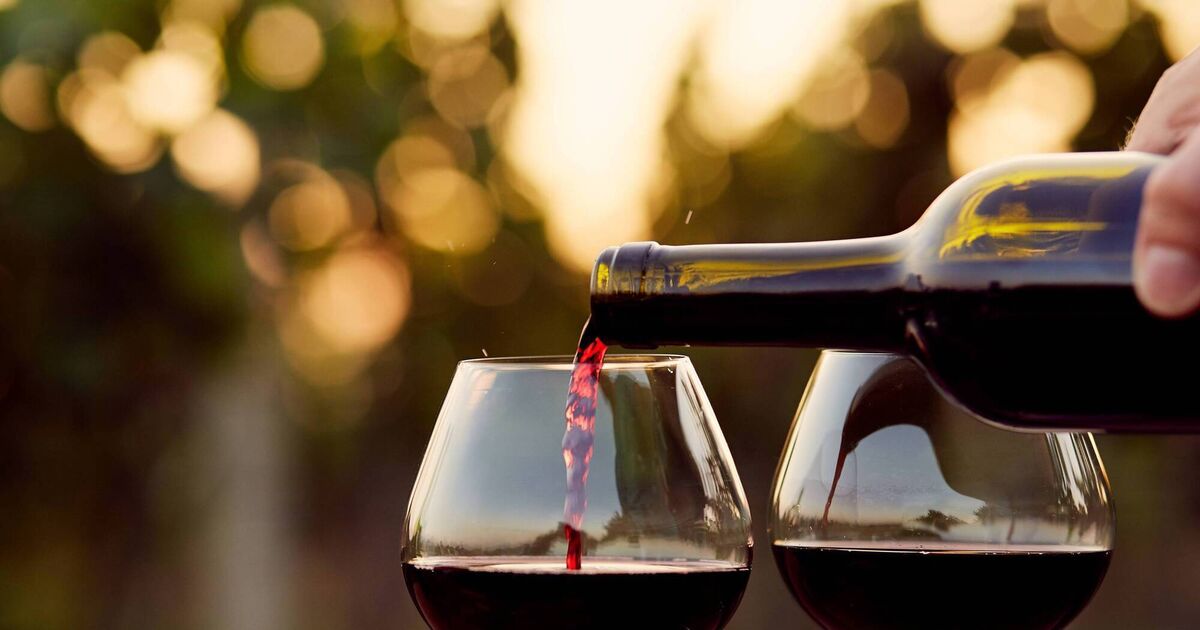 Wine with Leslie: Why Piedmont is my favourite Italian destination