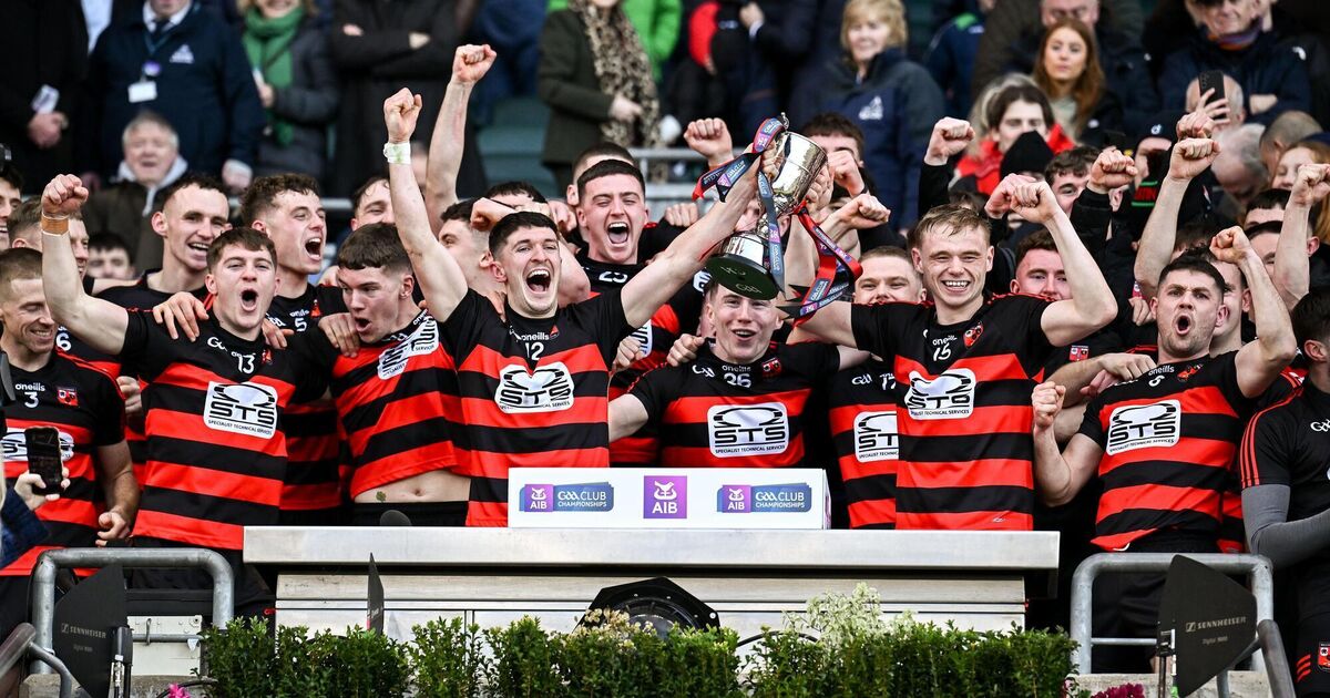 Clinical Ballygunner overcome Loughrea to secure second All-Ireland title