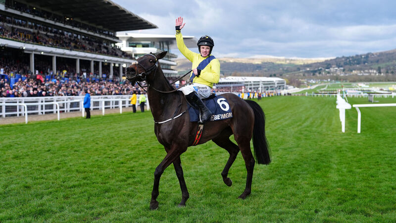 Marine Nationale in 'savage form' ahead of upcoming Leopardstown return