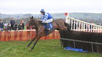 Sam Curling combines with Derek O'Connor to continue best ever point-to-point campaign 