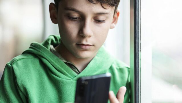 <p>An expert says Grok on X has come to attention because of its wide reach but that far worse 'build your own slut' AI apps are being targeted at children. See links below. Picture: iStock</p>