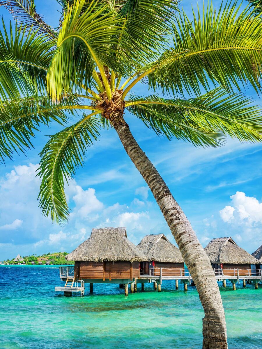 Bora Bora, a popular honeymoon spot among celebrities such as Demi Lovato, is known for its luxury overwater bungalows