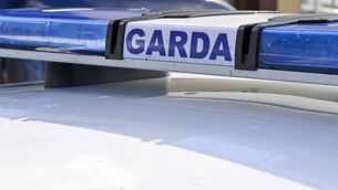 <p>Gardaí and fire services attended the scene of the incident at about 5.20am outside commercial premises on Quin Road in Ennis. File picture</p>