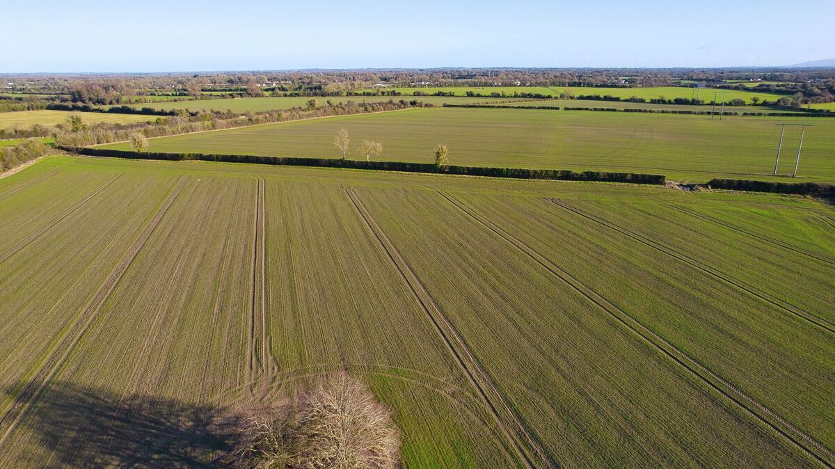 Close view of the lands at Clonshanboo, Donadea, Co. Kildare