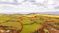 25-acre pasture parcel on the Mizen attracting local interest
