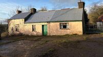 60-acre East Cork holding a tempting prize at €8.3k/acre 