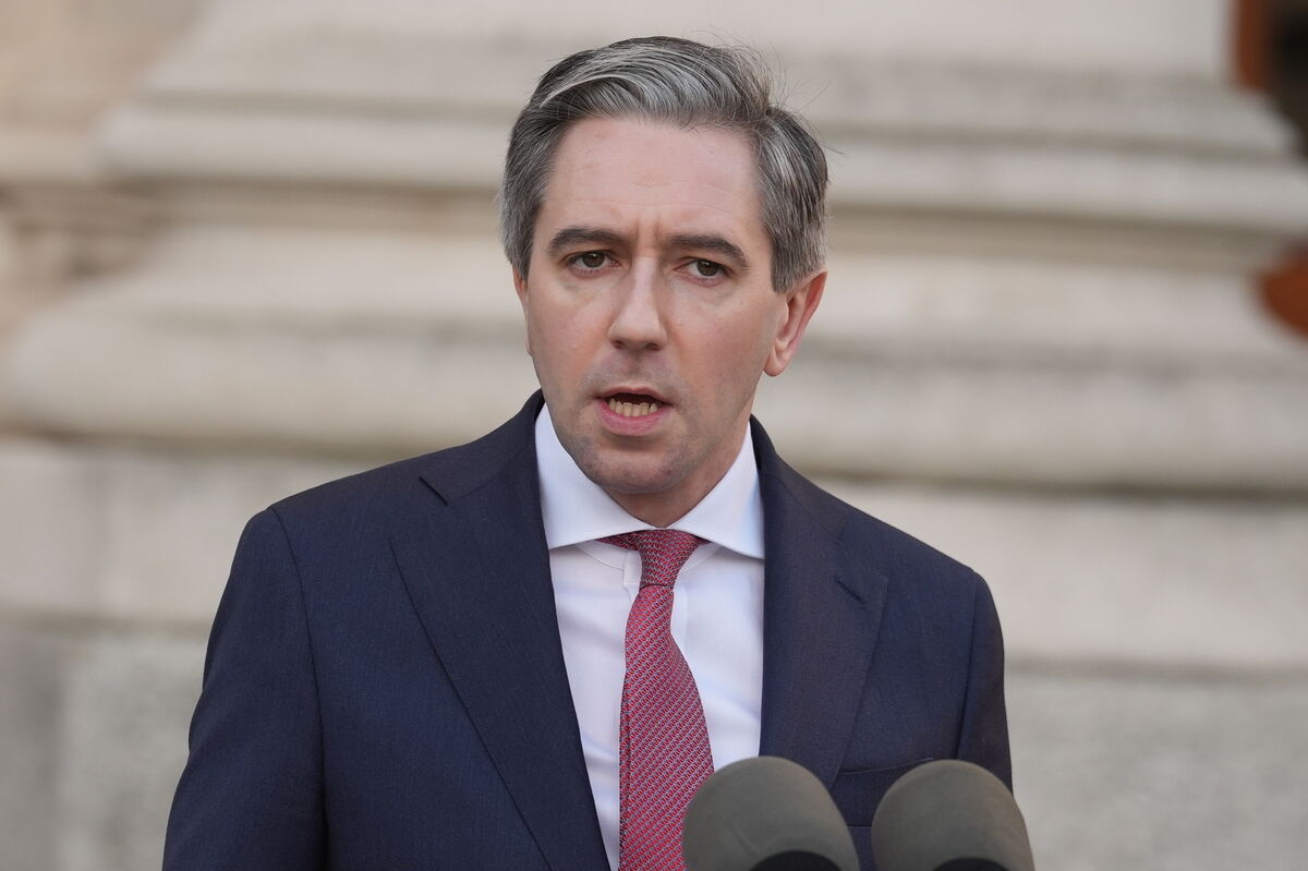 Simon Harris said the EU would be preparing for “all eventualities” as the rift with the US over Greenland deepens. Picture: Frank Vincini