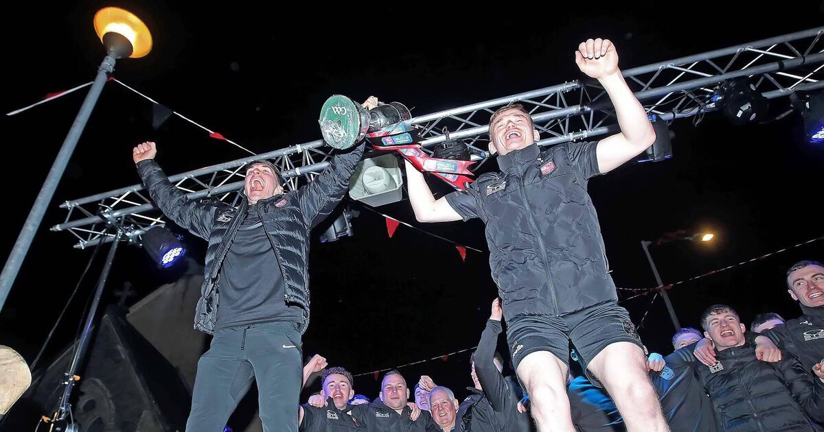 'It was a mission to get back and repeat it' - Ballygunner revel in second All-Ireland hurling title glory