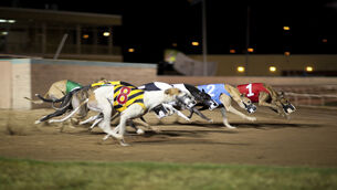 <p>Technological University of the Shannon (TUS) has signed a memorandum of understanding with GRI which will see them work together to launch two new programmes. Picture: iStock  </p>