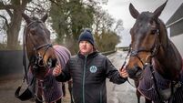Gordon Elliott with Brighterdaysahead and Romeo Coolio 19/1/2025