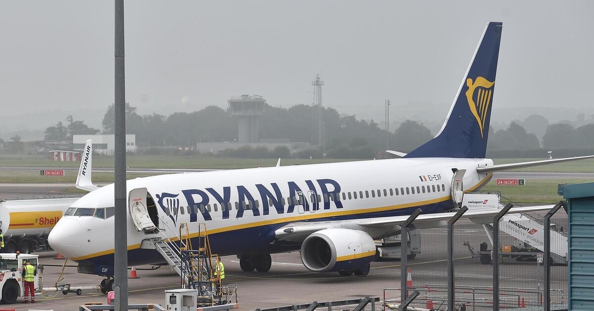 ieExplains: Why Elon Musk can&rsquo;t buy Ryanair despite his online jibes