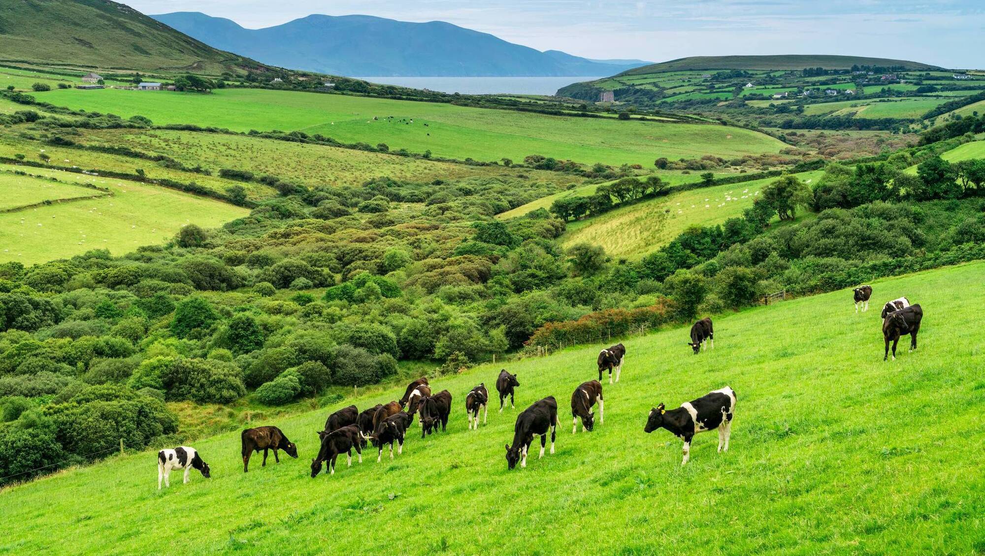 MTU to hold workshop on the future of farming and strengthening rural life
