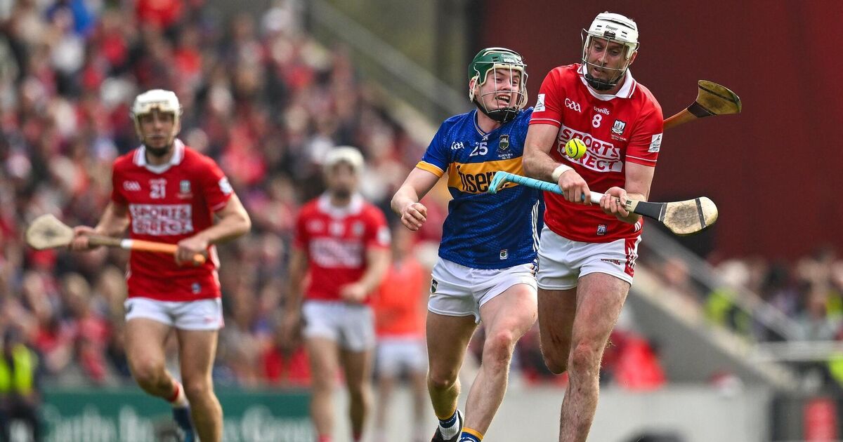 All-Ireland champions Tipperary must embrace being targetted, says Darragh Stakelum