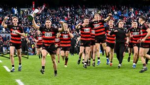 <p>COMING AT YA: All-Ireland club hurling champions Ballygunner are set to enter two teams in the 2026 Waterford SHC. Pic: Piaras Ó Mídheach/Sportsfile</p>