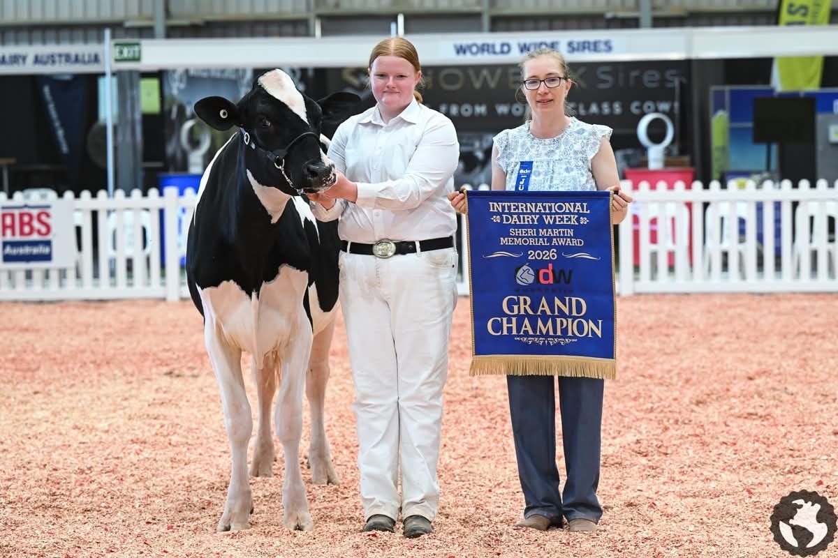 Claims historic double showmanship win at International Dairy Week