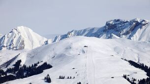 <p> Swiss police said three skiers had been caught up in the avalanche in an area near Ovronnaz in the Valais part of Switzerland on January 13.</p>