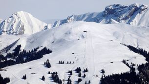 <p> Swiss police said three skiers had been caught up in the avalanche in an area near Ovronnaz in the Valais part of Switzerland on January 13.</p>