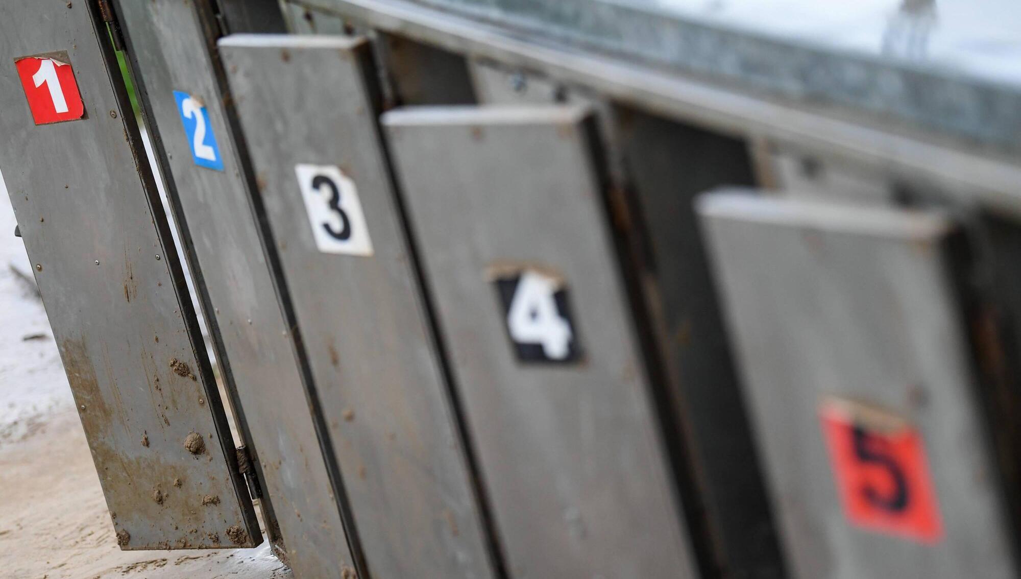 Irish Examiner view: Will degree put greyhound racing on the right track?