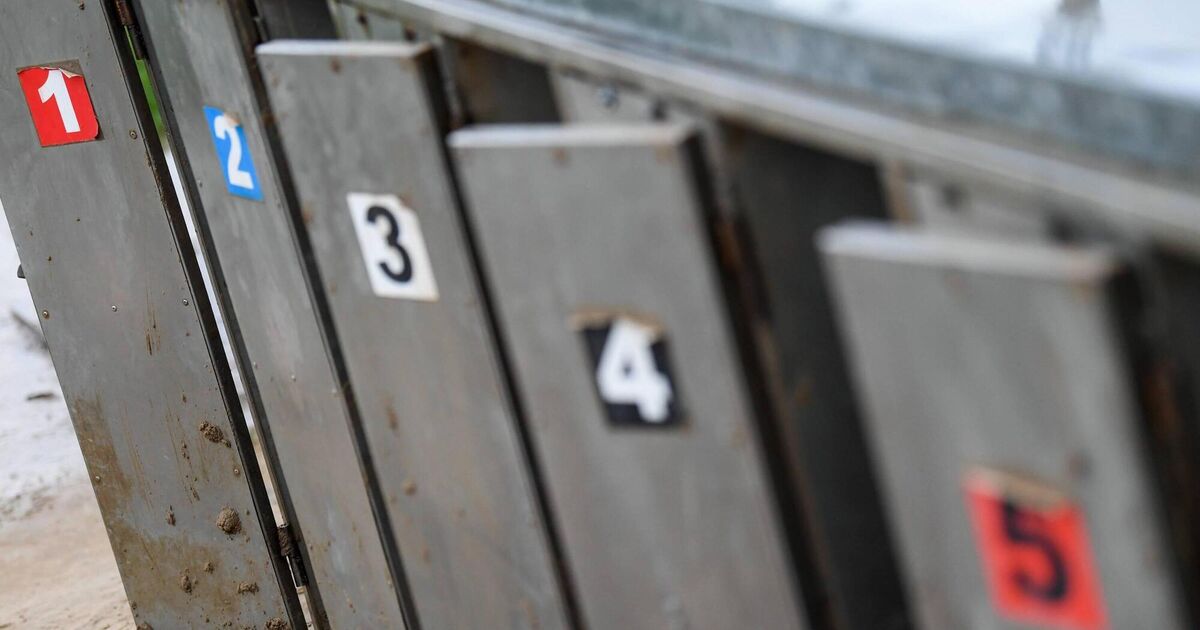 Irish Examiner view: Will degree put greyhound racing on the right track?