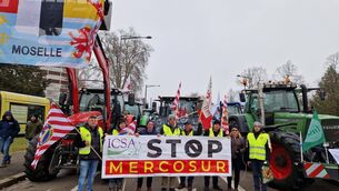 <p>ICSA president Seán McNamara at the Mercosur protest in Strasbourg, marching with farmers from across Europe opposing the deal.</p>