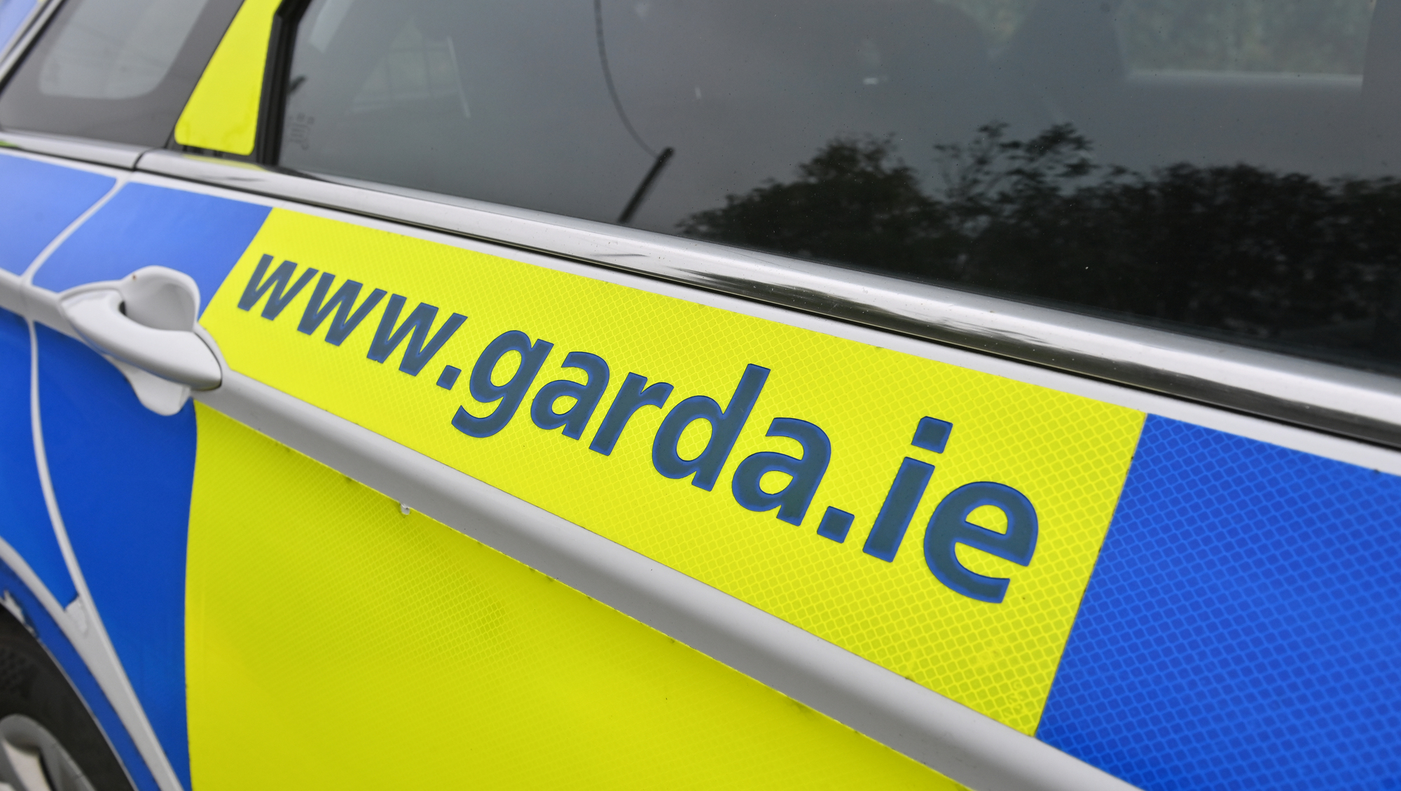 Gardaí deport 25 convicted sex offenders in new operation