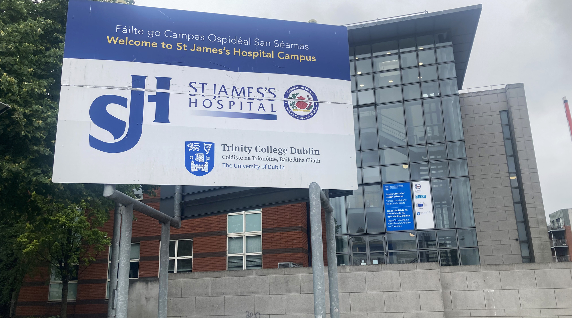 CEO apologises for hospital buying €1.4m of services from staff-owned firm with no formal contract