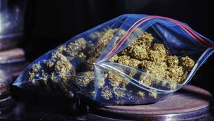 <p>The cannabis was valued at €60,000, the court was told. File picture</p>