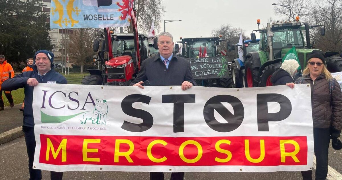 Simon Harris says Fine Gael will not be on 'back foot' on Mercosur because of 'performative politics'