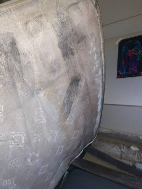 One tenant said: 'My bed is black with dampness as you can see, and so are all of the walls.'