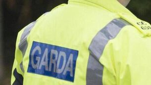 <p>A Garda spokesperson said: 'All five persons arrested and detained were questioned in respect of the alleged offence and have been released without charge, pending a file to the DPP.' File picture: Dan Linehan</p>