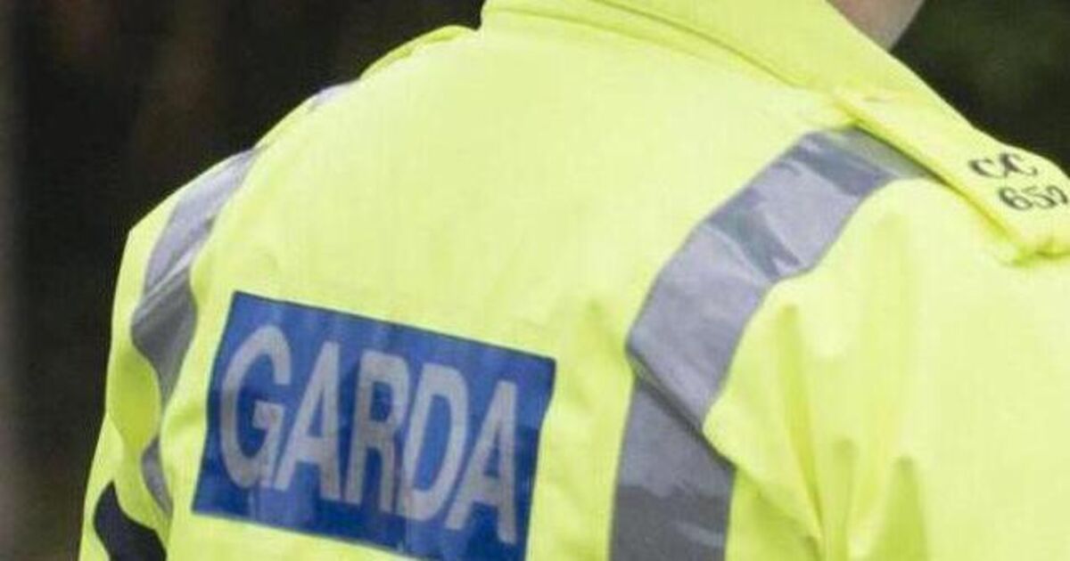 Five juveniles questioned over alleged sexual assault of schoolgirl in Dublin