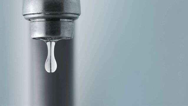 <p>There are simple steps homeowners can take to stop drips and save themselves both money and stress.</p>