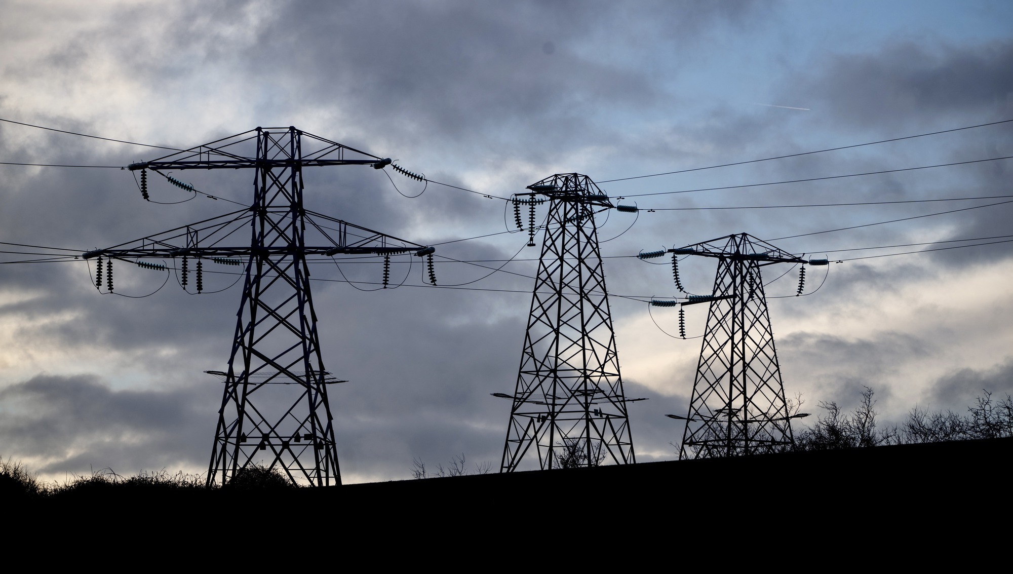 Wholesale electricity prices down over 20% in December while food prices rise