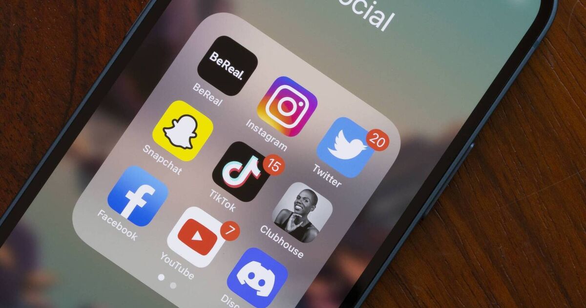 Government will not oppose bill to ban algorithms promoting 'masculinist' mindset to youth