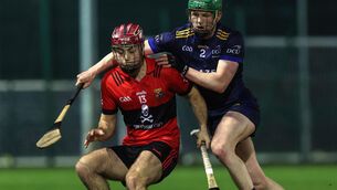 <p>UCC’s William Buckley was deadly from frees again. Pic: Lorraine O’Sullivan/Inpho</p>