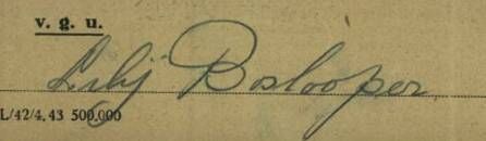 The signature of Elisabeth Boslooper from Cork.
