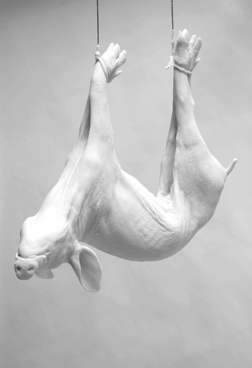 Daphne Wright's 'Pig'.