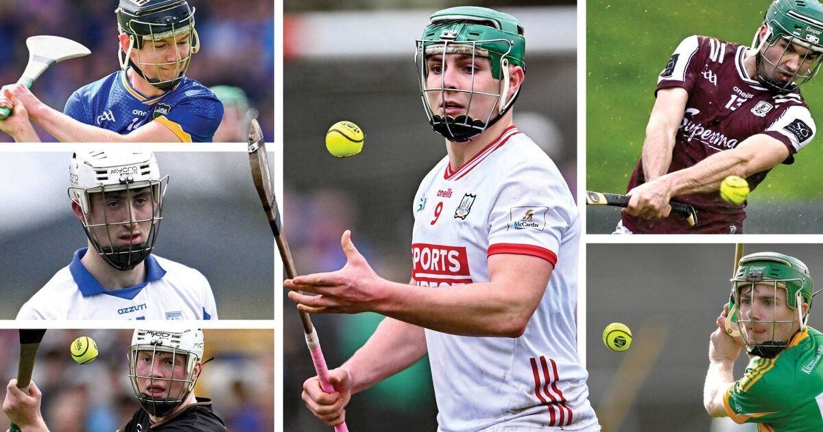 Spring signs: County-by-county guide to Hurling League Division 1A