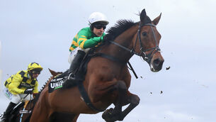 <p>The New Lion ridden by Harry Skelton on the way to winning the Unibet Hurdle during Festival Trials Day at Cheltenham Racecourse. Pic: Nigel French/PA Wire.</p>